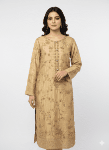 Stylish & Elegant Party Wear