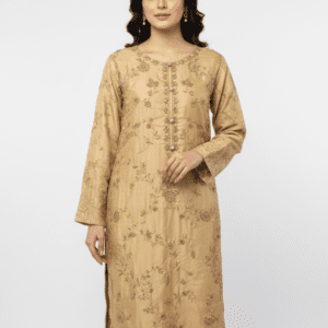 Stylish & Elegant Party Wear